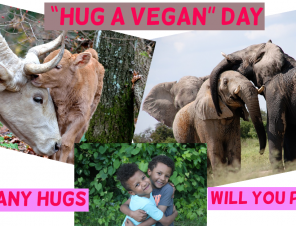 Get Ready for ‘Hug a Vegan’ Day!