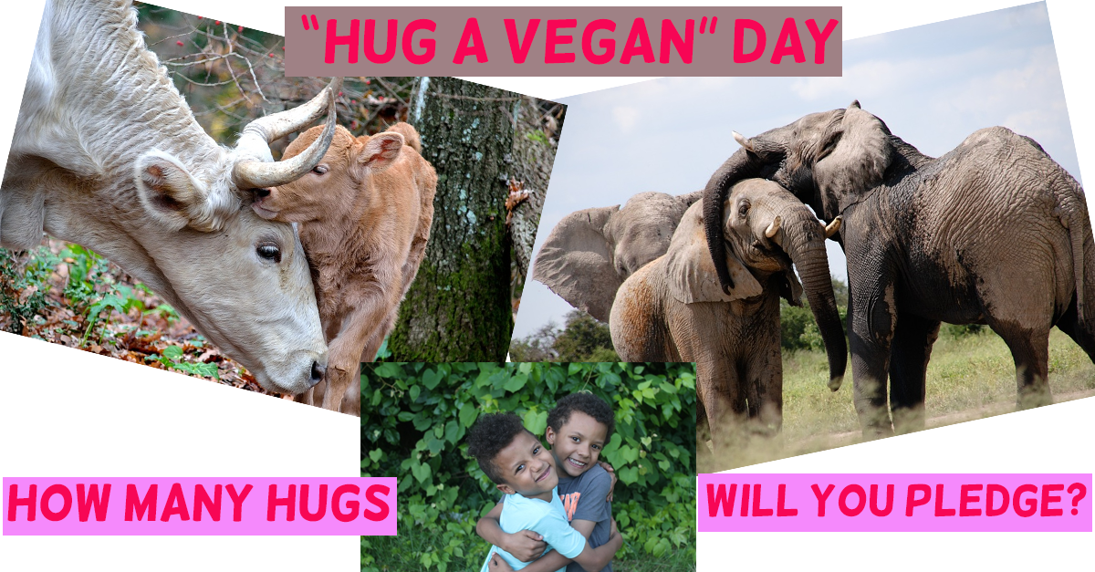 Get Ready for 'Hug a Vegan' Day! PETA Kids