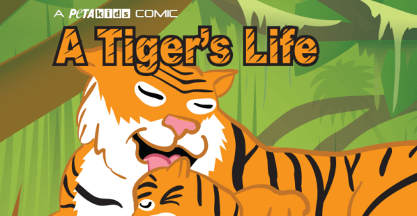 A Tiger's Life comic book cover