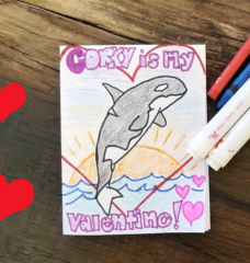 Show Love for Corky the Orca This Valentine’s Day