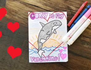 Show Love for Corky the Orca This Valentine’s Day