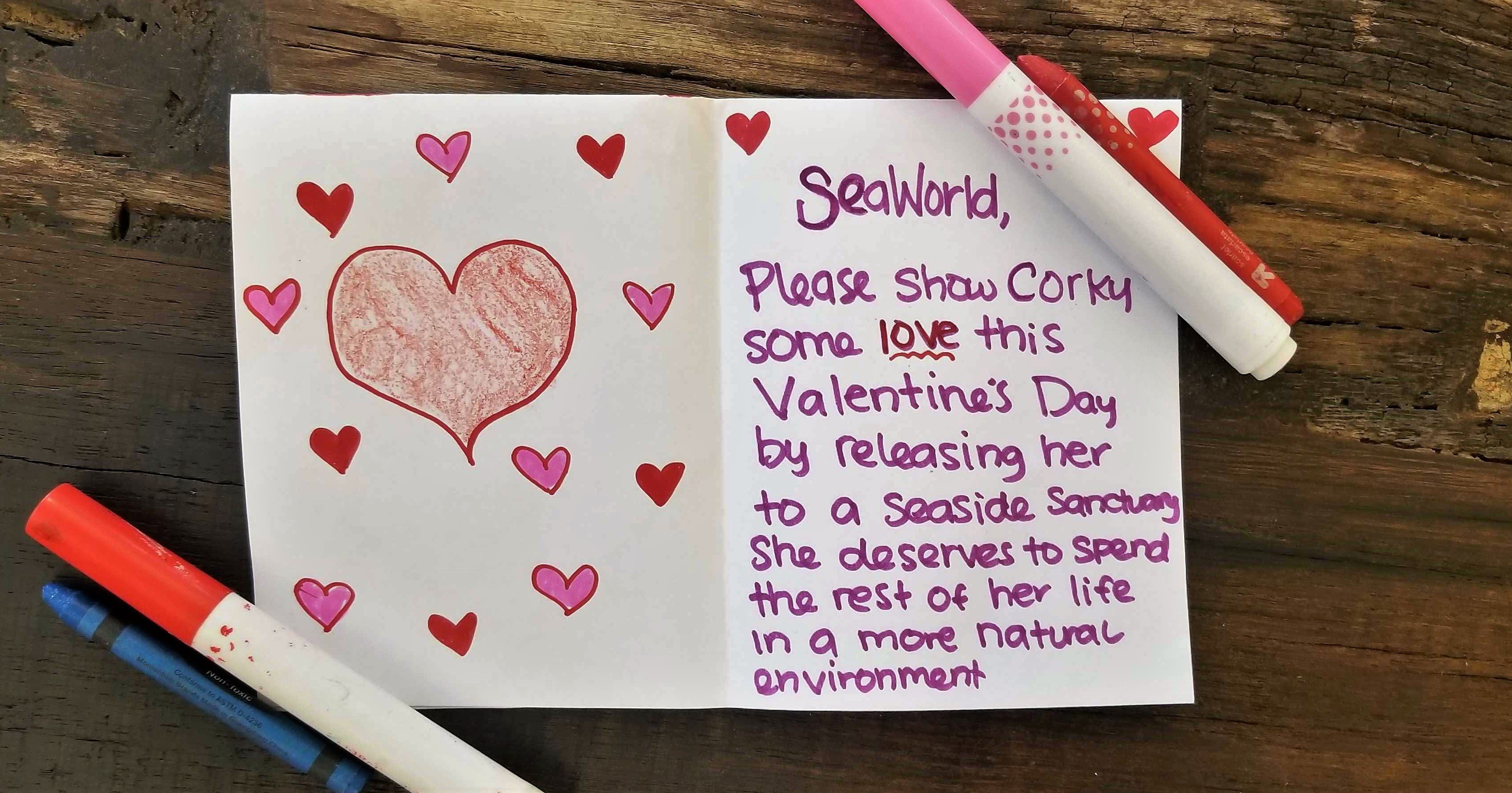 Show Love for Corky the Orca This Valentine's Day