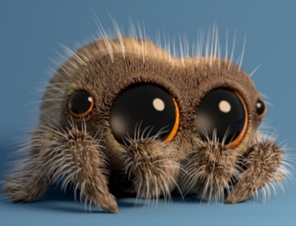 Have You Met Lucas the Spider?