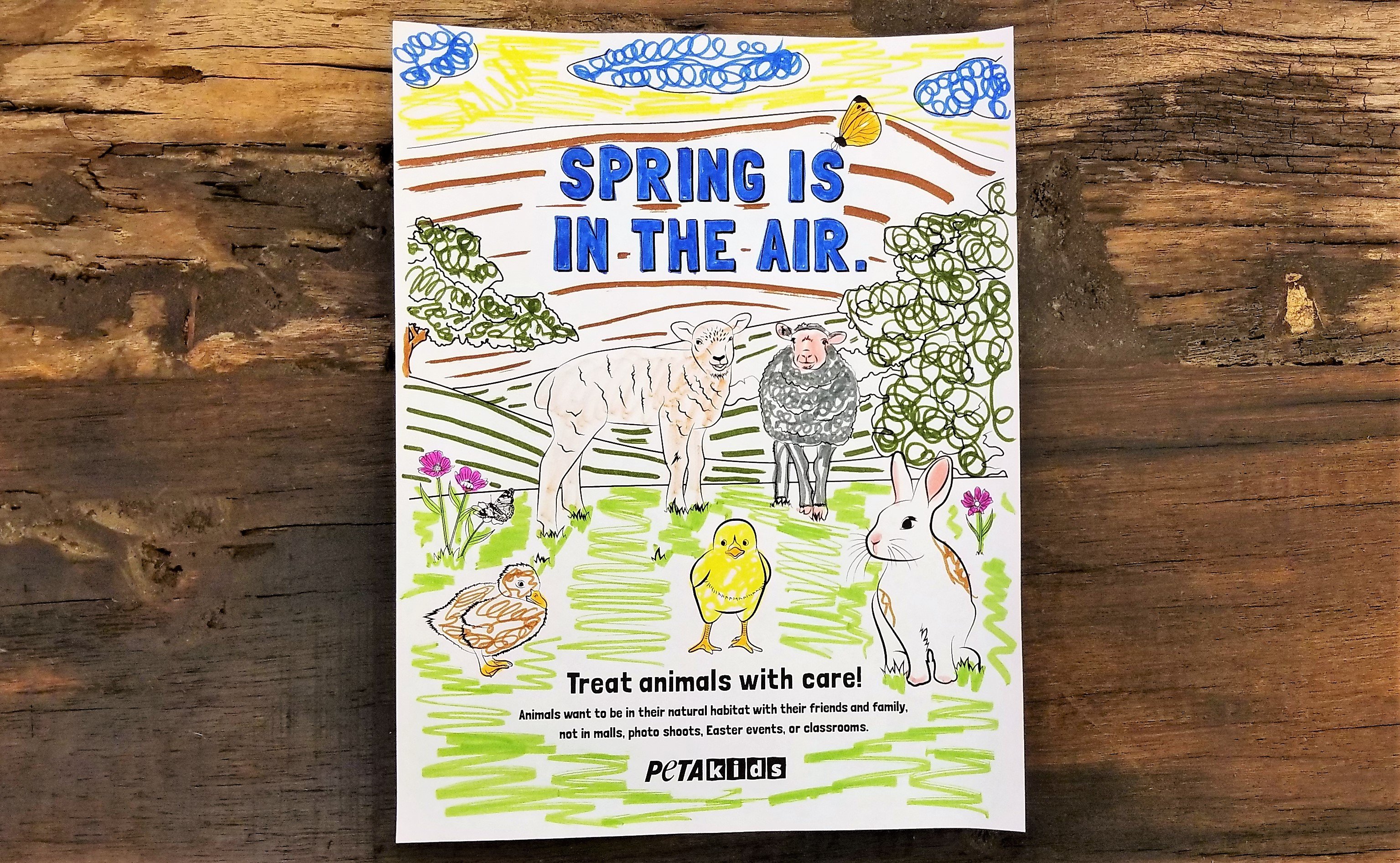 Spring Is in the Air—Treat Animals With Care! | PETA Kids Spring Is in the Air—Treat Animals With Care! | PETA Kids