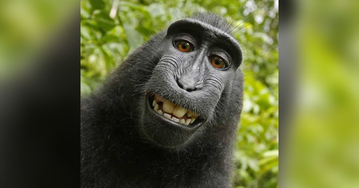 Pics That Show How Other Animals Are Just Like Us | PETA Kids Pics That Show How Other Animals Are Just Like Us | PETA Kids