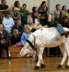 donkey basketball