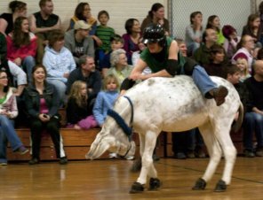 donkey basketball