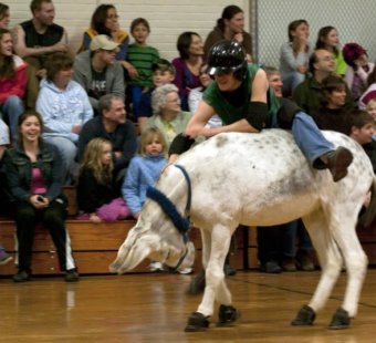 donkey basketball