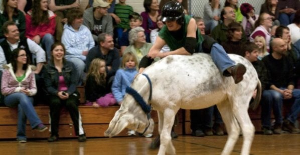 donkey basketball