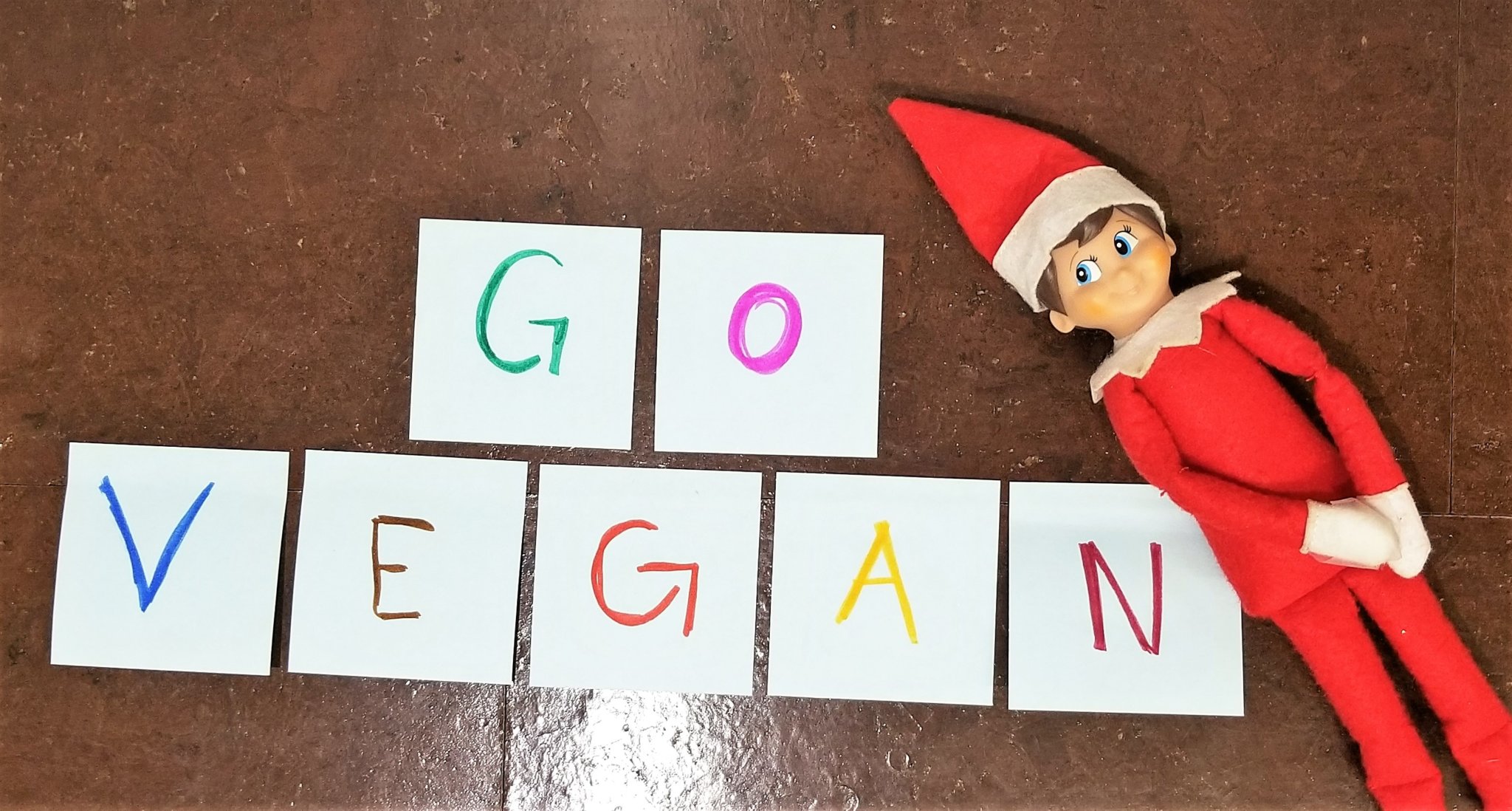 16 Ways to Tell if Your Elf on the Shelf Is Vegan Parents PETA Kids