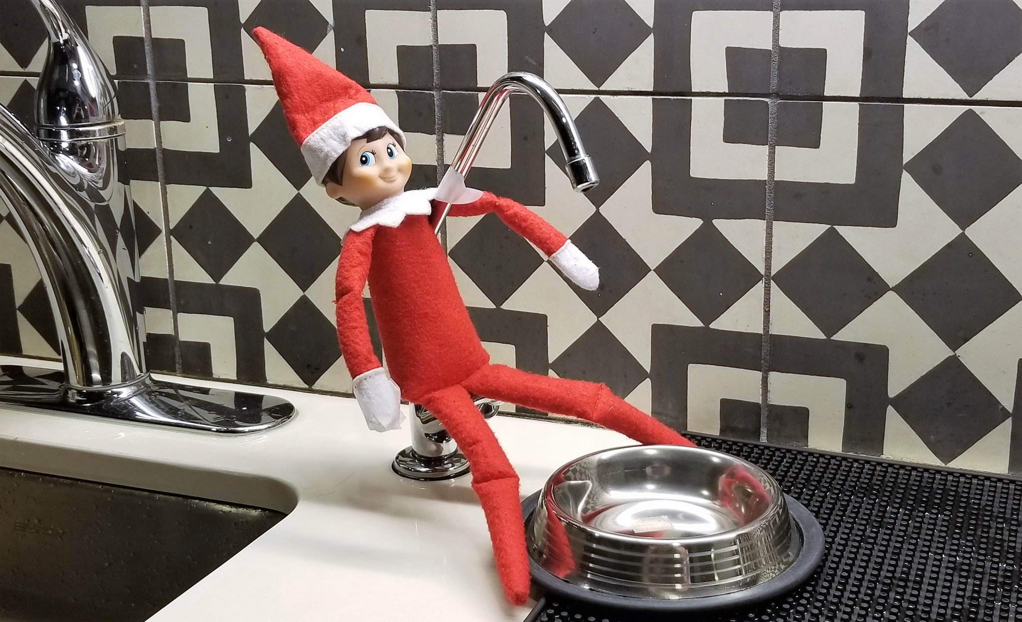 16 Ways to Tell if Your Elf on the Shelf Is Vegan Parents PETA Kids