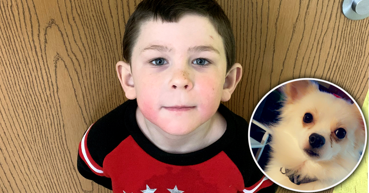 5-Year-Old Saves His Family's Dog From Fire | PETA Kids