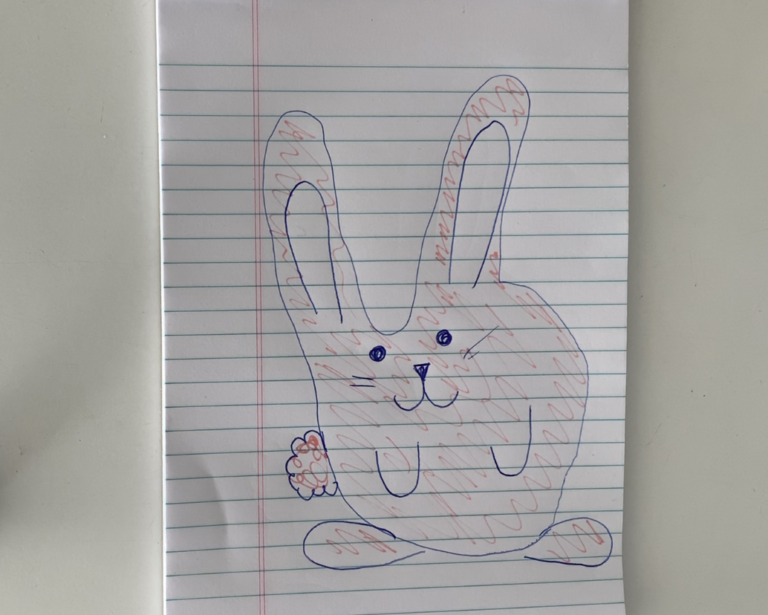 Give Bunnies a 'Hand' With This AnimalFriendly Activity PETA Kids