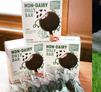 You Have to Try Dairy Queen’s New Vegan Ice Cream Bars!