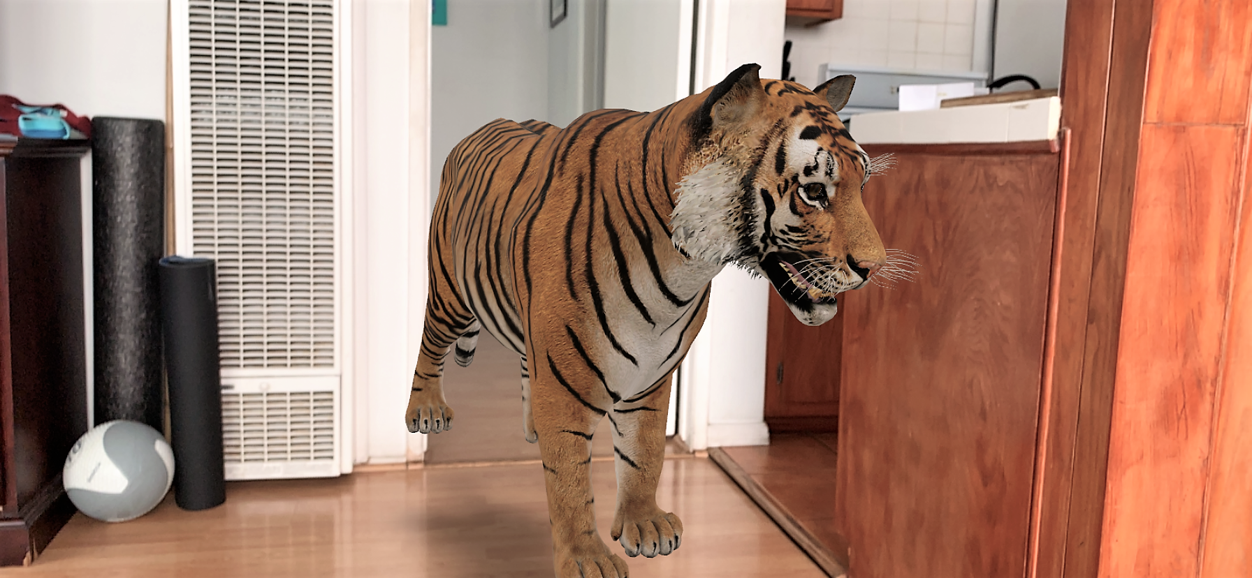 Google 3D Animals: How to put a tiger and more in your bedroom