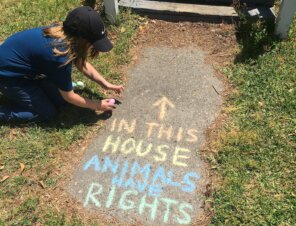 Chalk Your Driveway for Animals!