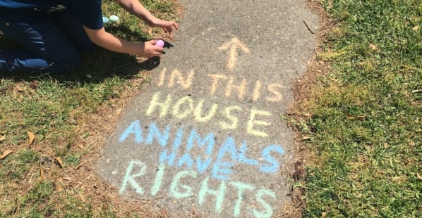 in this house animals have rights chalk art