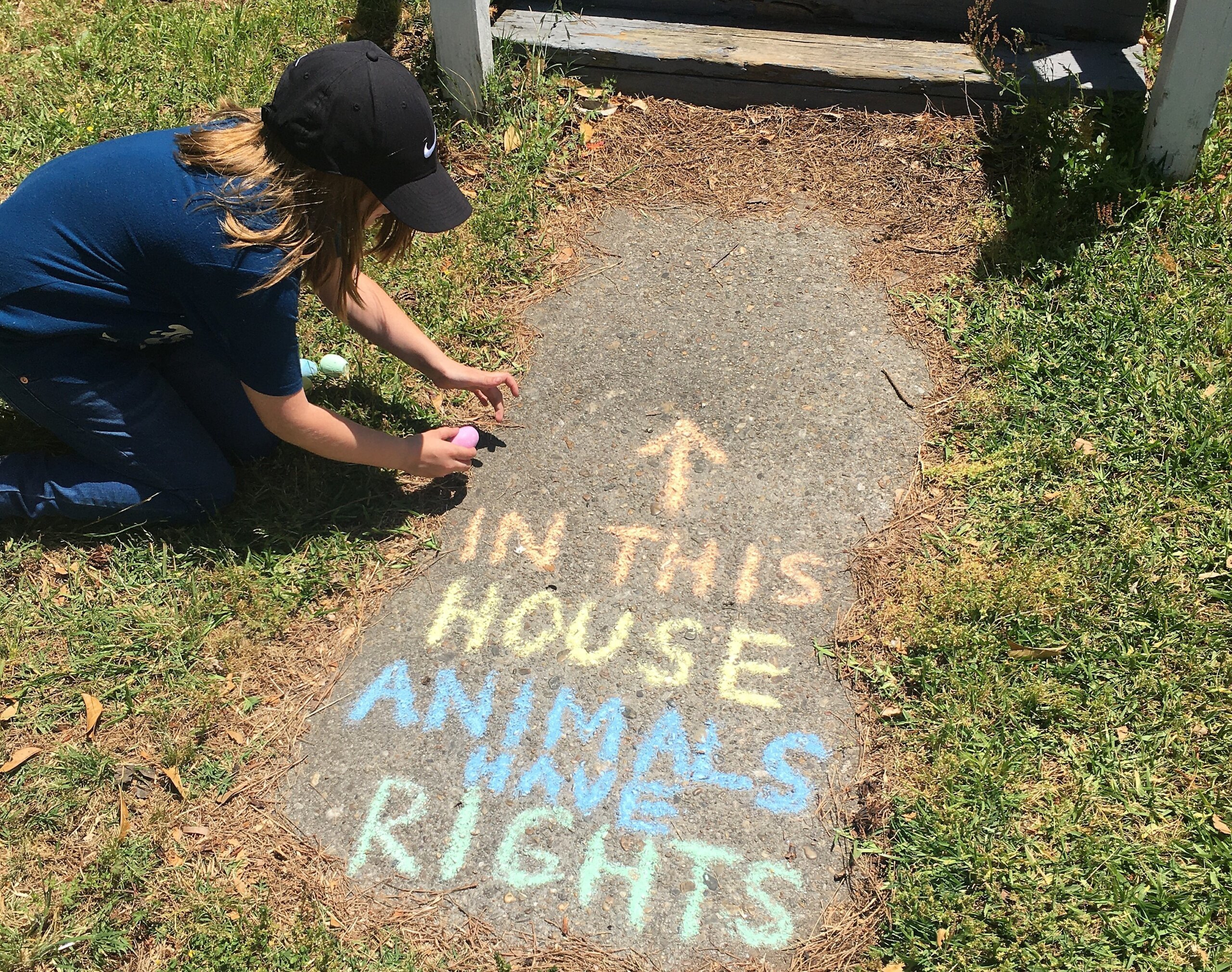 in this house animals have rights chalk art