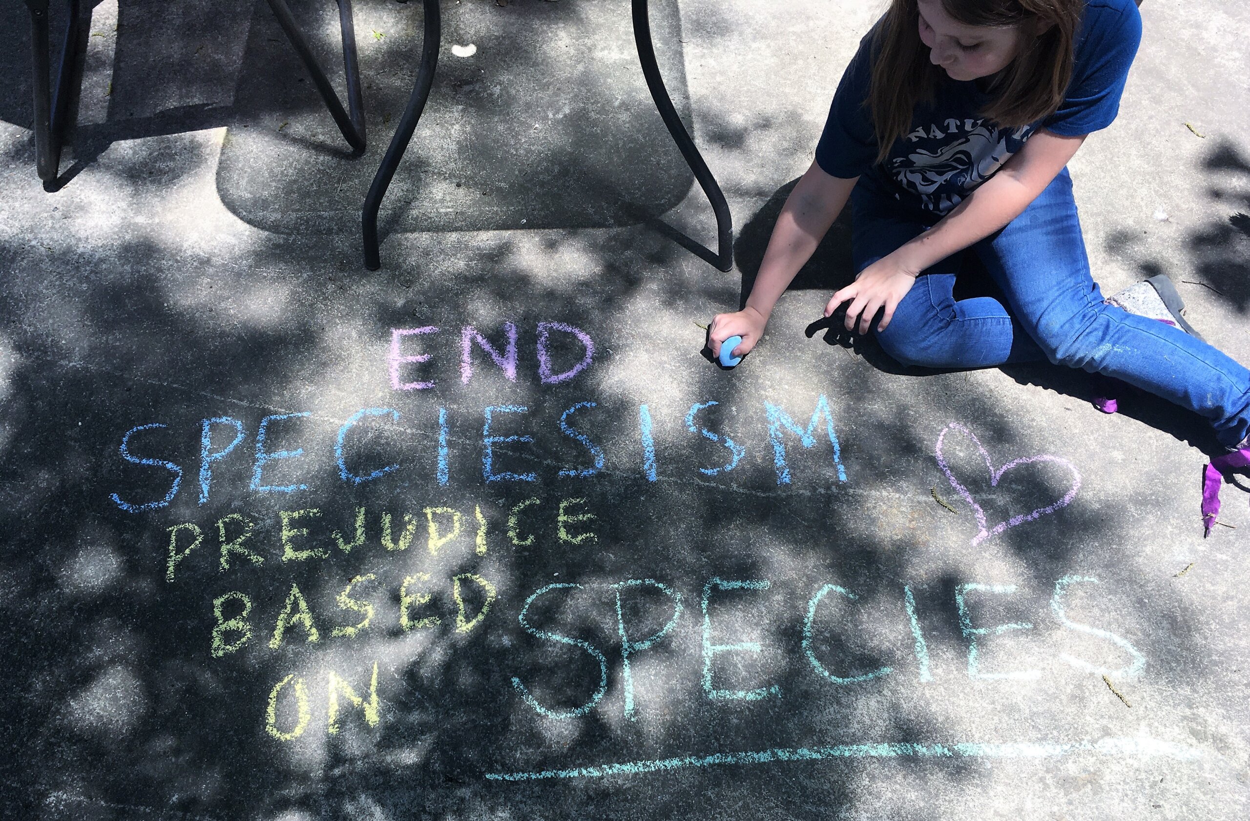 End speciesism chalk art