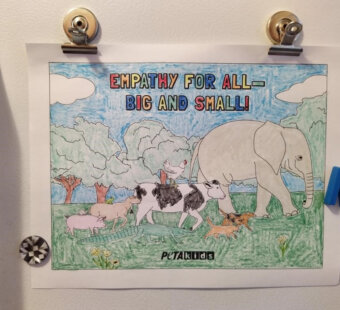 Activities | PETA Kids Activities | PETA Kids
