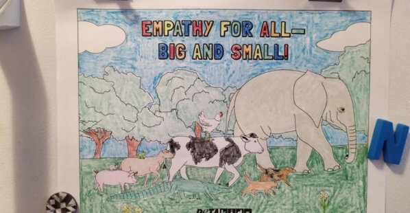 coloring sheet on a fridge