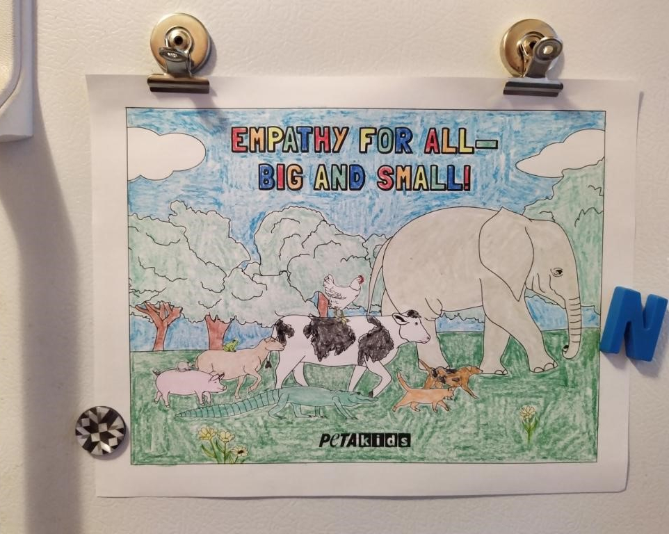 'empathy for all animals' coloring sheet on a fridge