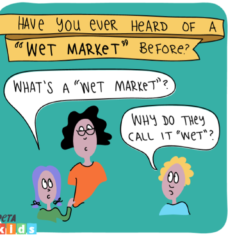 Wet Market Featured Image