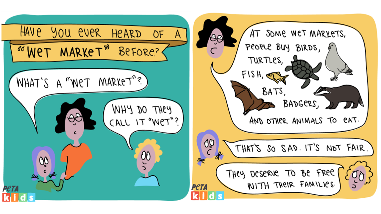 Wet Market' Comic Helps Kids Understand Pandemic | PETA Kids Wet Market' Comic Helps Kids Understand Pandemic | PETA Kids