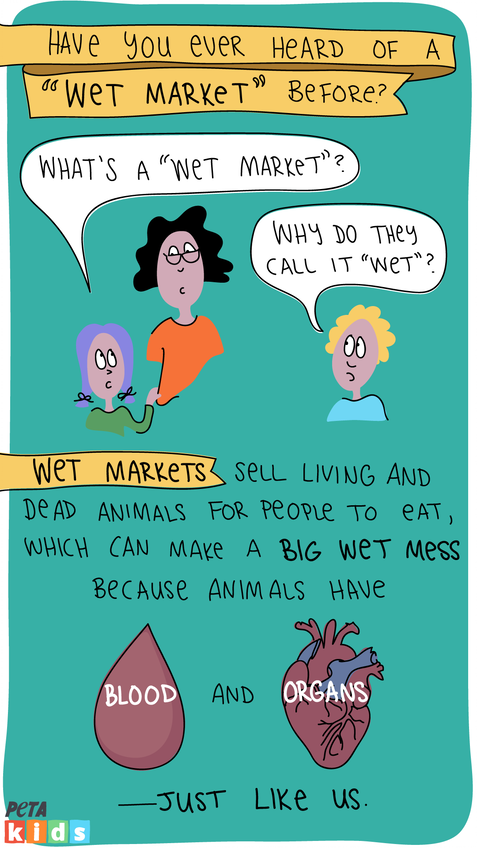 Wet market comic strip