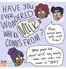 Dairy Comic Strip Feature
