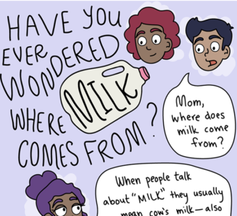 Dairy Comic Strip Feature