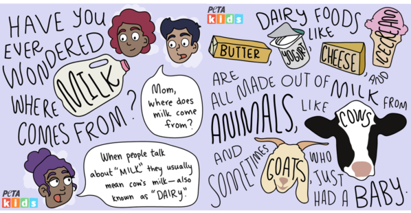 Dairy Comic Strip Feature