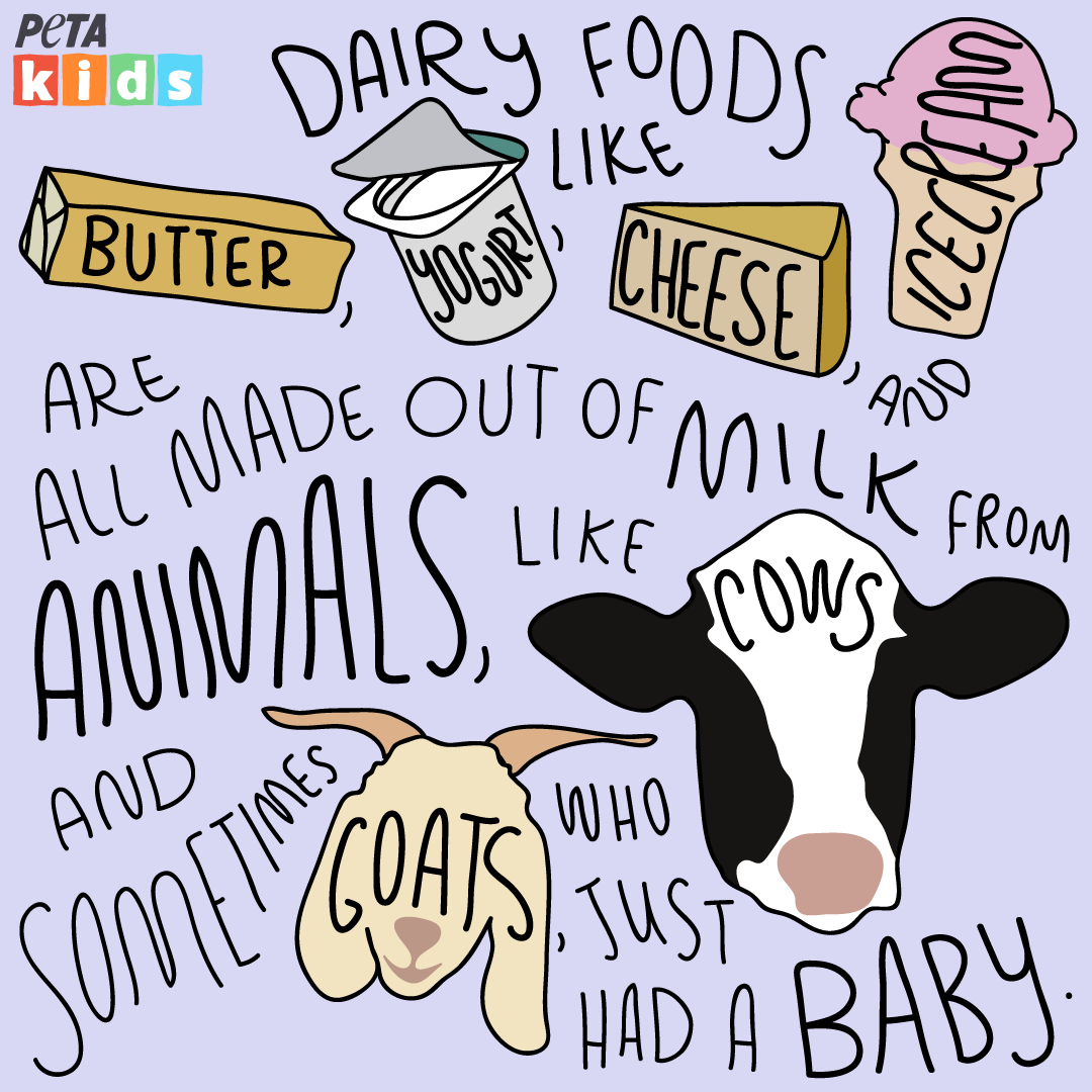 Dairy Comic Strip