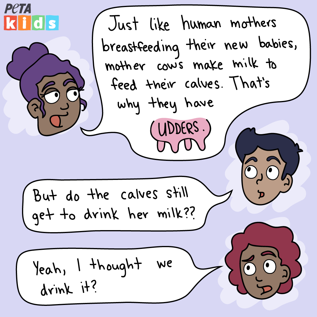 Dairy Comic Strip