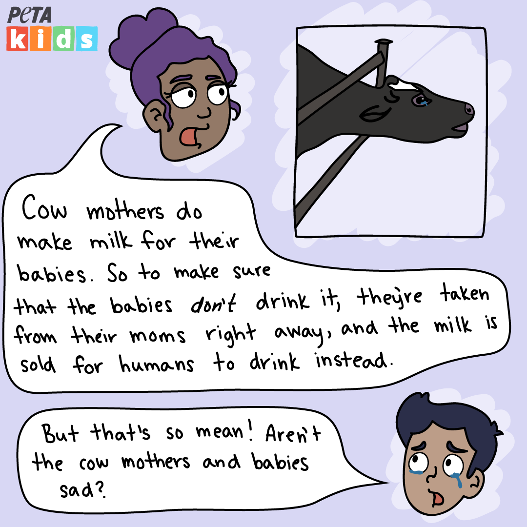 Dairy Comic Strip