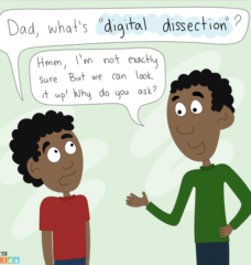 a comic about dissection