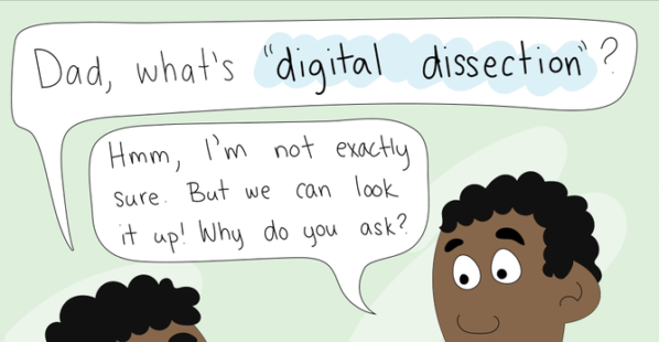 a comic about dissection