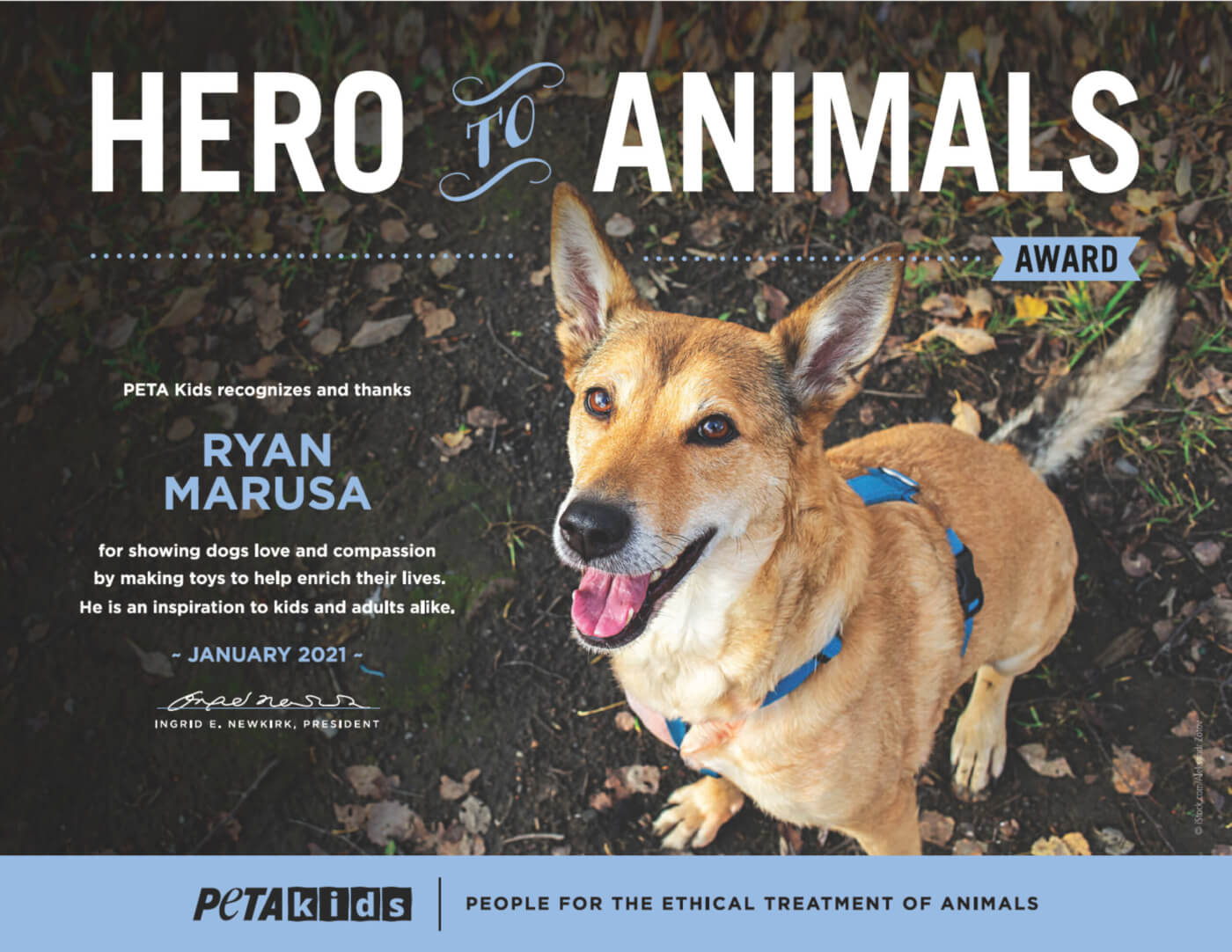 Ryan's 'Hero to Animals' Award