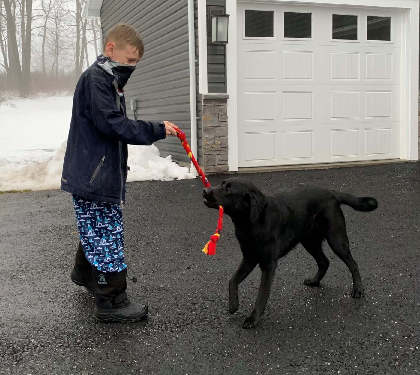 Ryan playing with a dog with his pup tugs