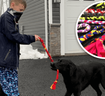 Ryan is helping dogs by making toys for them