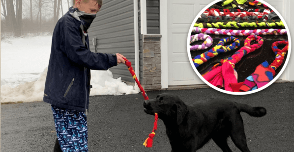 Ryan is helping dogs by making toys for them