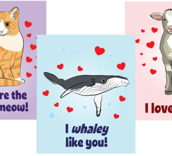 PETA Kids Valentine's Day Cards