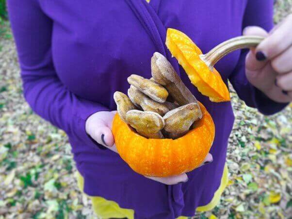 pumpkin vegan dog treats