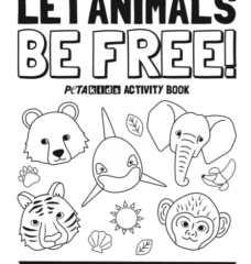 front cover of the circus activity book