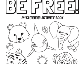 front cover of the circus activity book