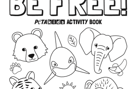 front cover of the circus activity book