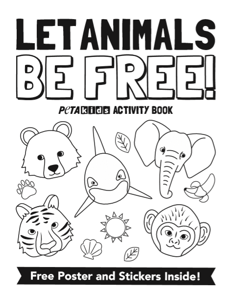 front cover of the circus activity book