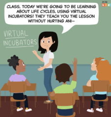 PETA Kids Comic: Why This Class Refuses to Do Chick-Hatching Projects