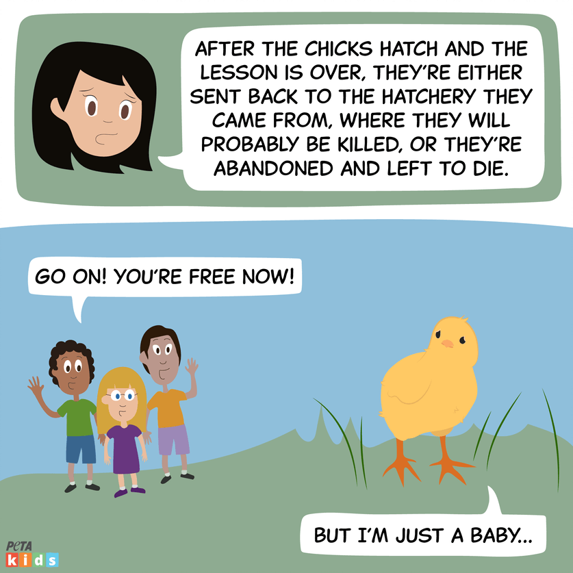 chick hatching comic