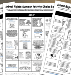 summer activity choice boards